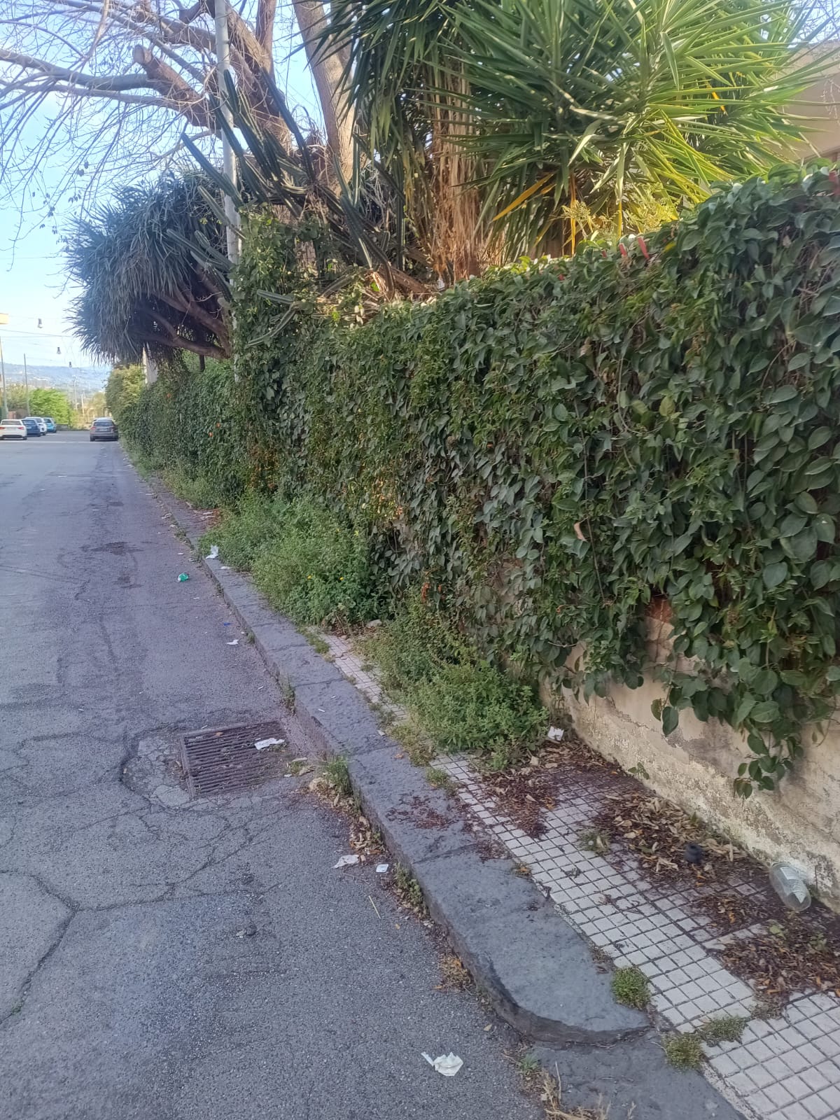Riposto, penali per 25mila euro alla ditta Impregico per inadempienze nel servizio di scerbatura