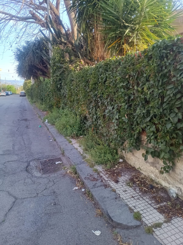 Riposto, penali per 25mila euro alla ditta Impregico per inadempienze nel servizio di scerbatura